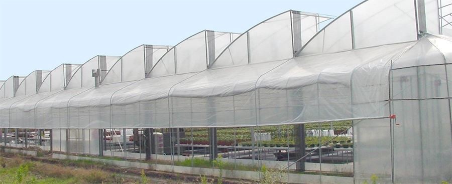 6 mil clear plastic sheeting for greenhousesupplier