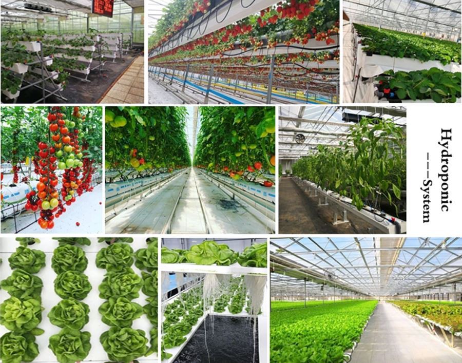 lower price polyethylene plastic sheeting greenhouse