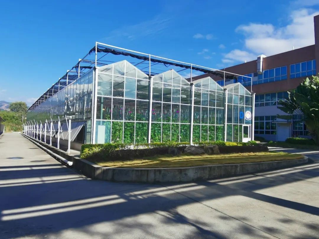 Main parameters of glass greenhouse