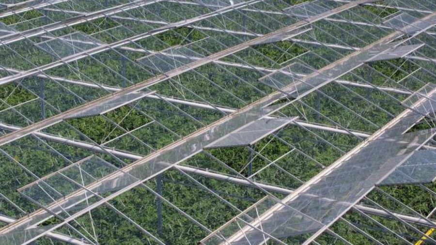 glass greenhouse kit