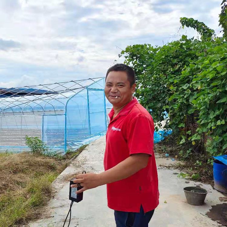 plastic tunnel greenhouse