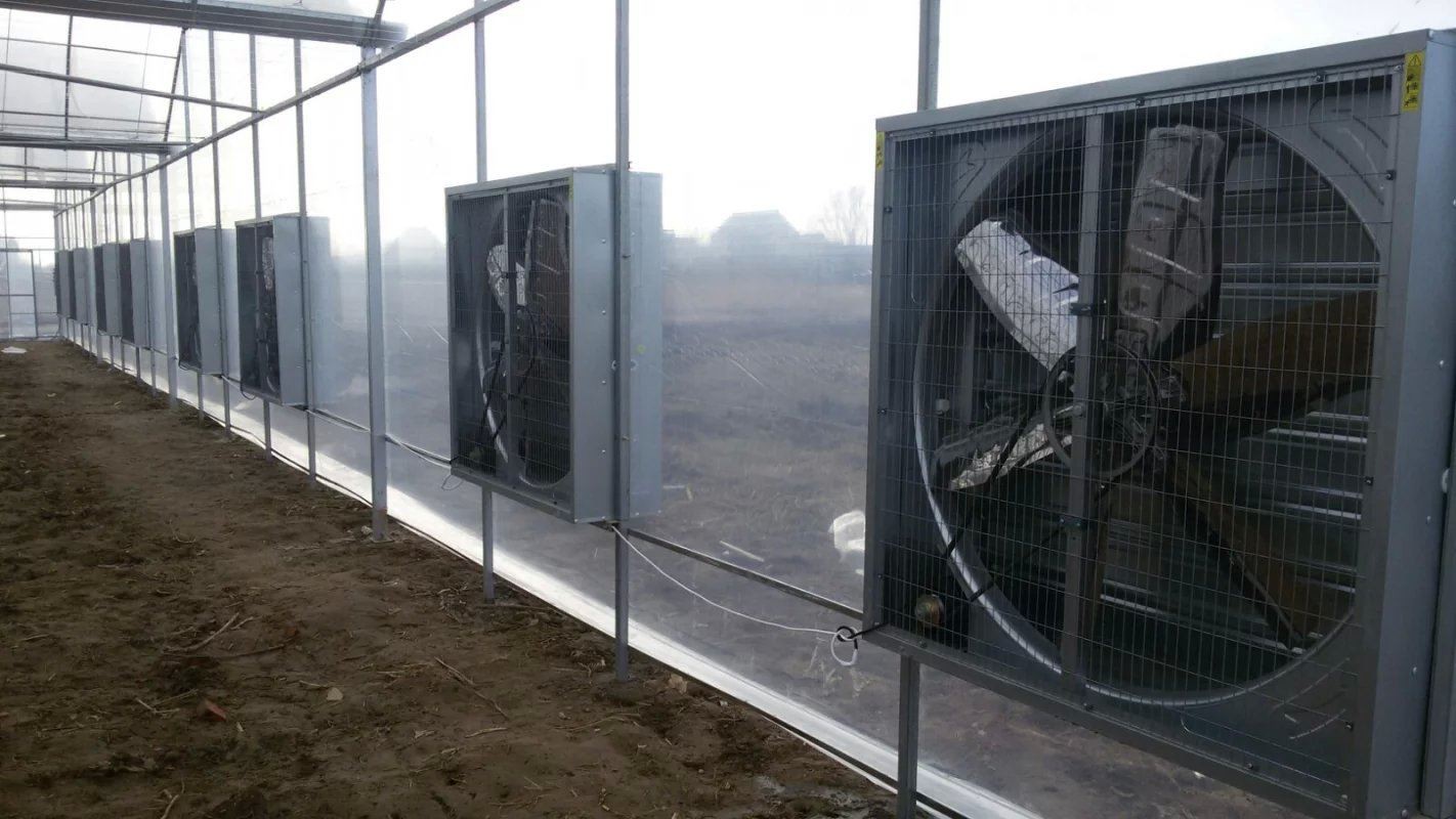 Glass Greenhouse