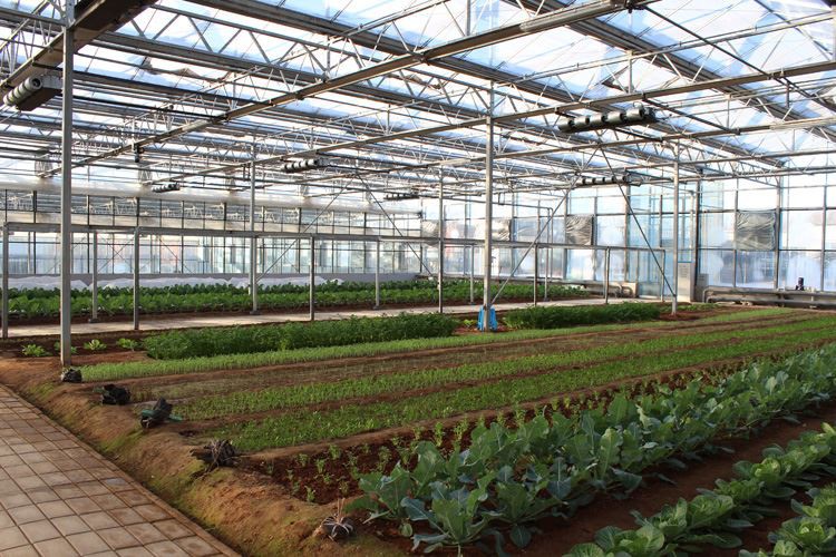 PC Board Greenhouse
