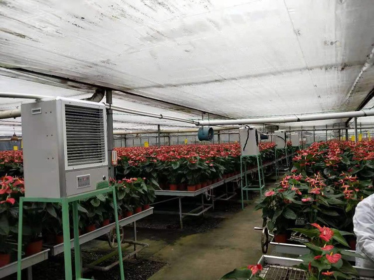 Greenhouse roller shutter machine adjusts the temperature in the shed
