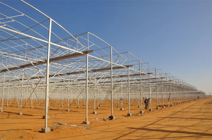 Saw Greenhouse