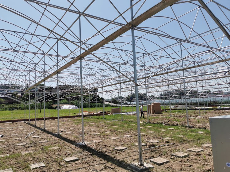 Application of Special Sunshine Panel for Greenhouse in Modern Agriculture