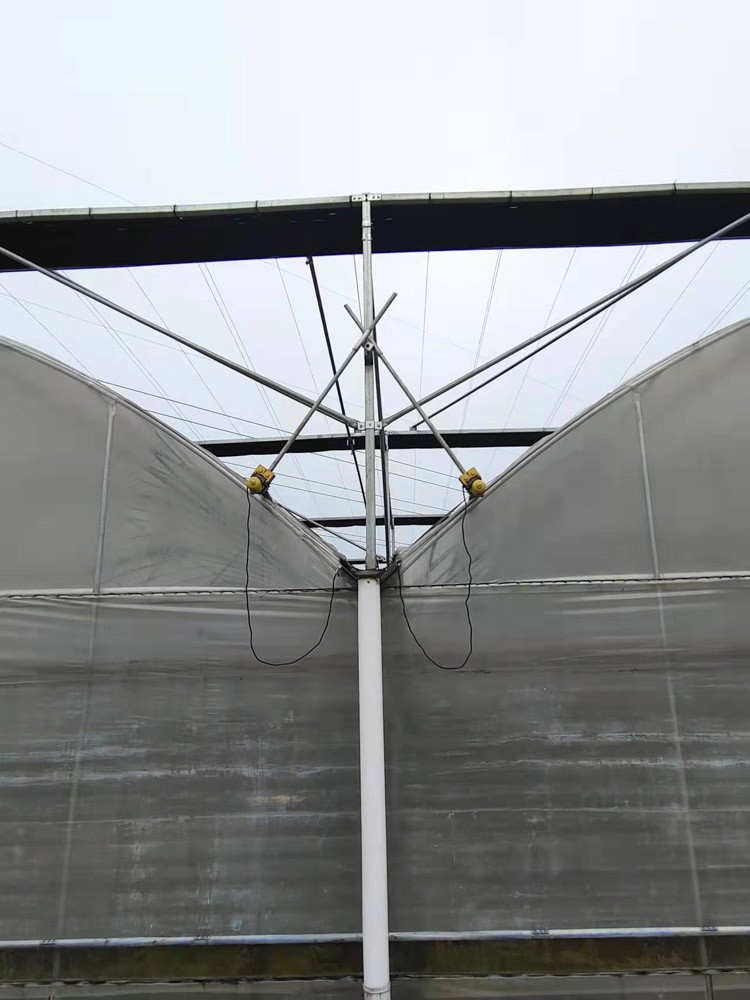 multi-span greenhouses