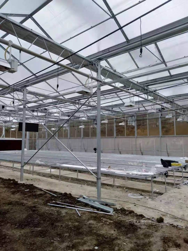 multi-span greenhouse
