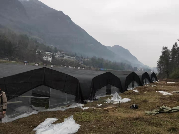 Ventilation design requirements for greenhouses