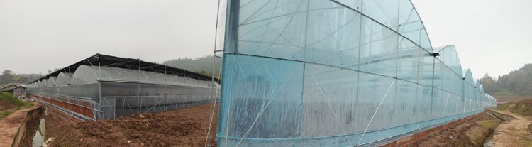 Plastic Greenhouse