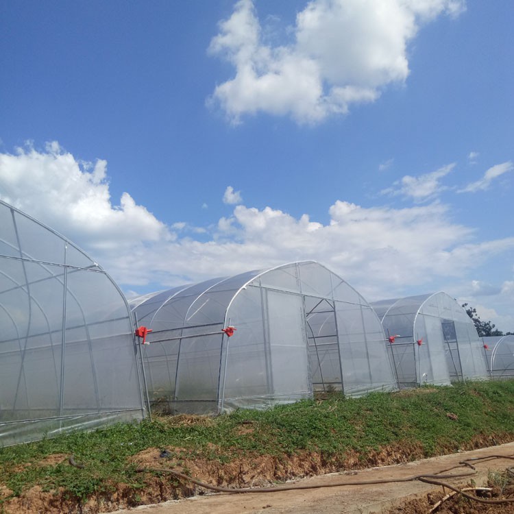 Basic construction requirements for common greenhouses