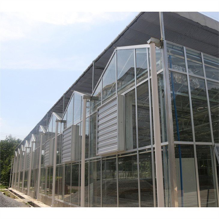 220V greenhouse cooling exhausting fan made in china