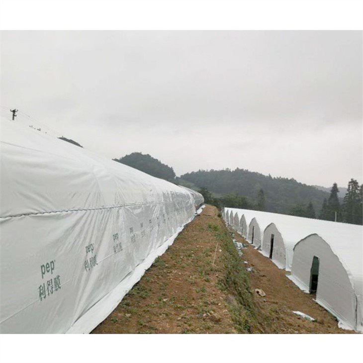 china plastic garden greenhouse