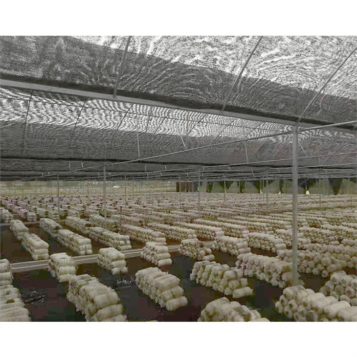 plastic garden greenhouse supplier