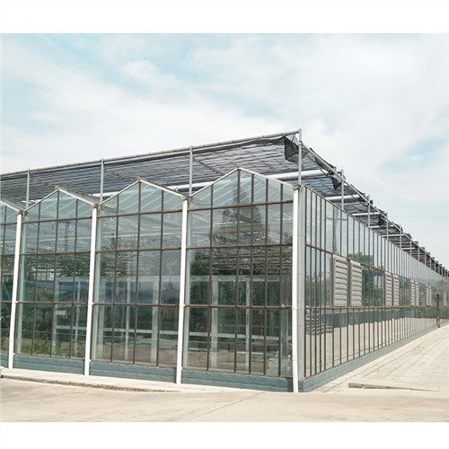 Lembaran polythene bening untuk rumah kaca