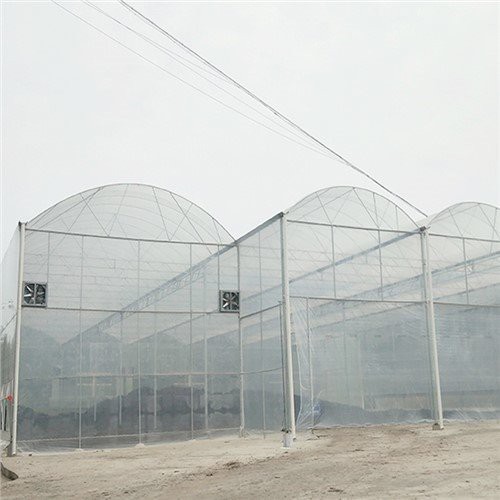 Depot rumah plastik rumah kaca