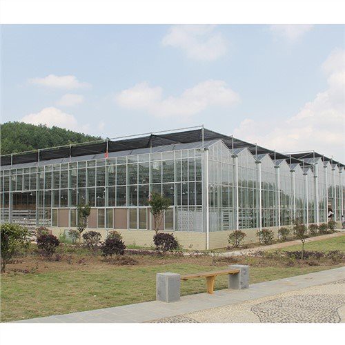 Rumah Kaca Lembar PC Venlo